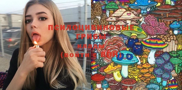 ГАЛЛЮЦИНОГЕННЫЕ ГРИБЫ Арсеньев