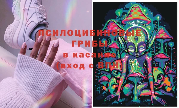стаф Балахна